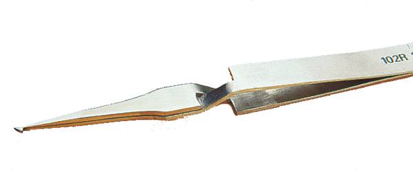 Brucelle inversée pour manipulation de C.M.S 102R